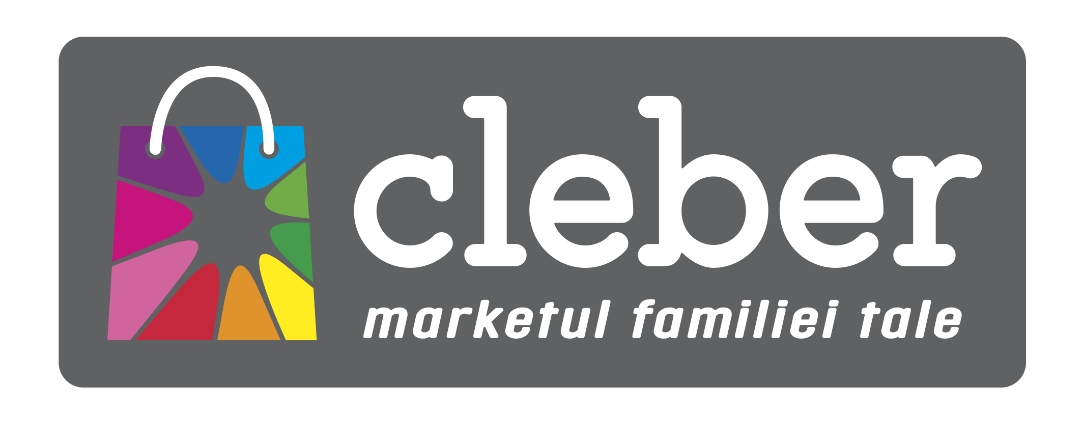 CLEBER logo 01